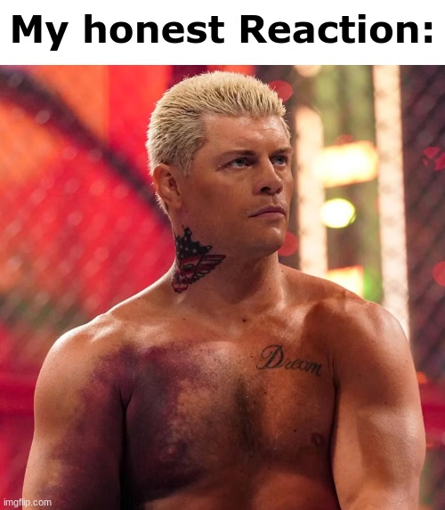 Cody Rhodes "my honest reaction" | image tagged in cody rhodes my honest reaction | made w/ Imgflip meme maker