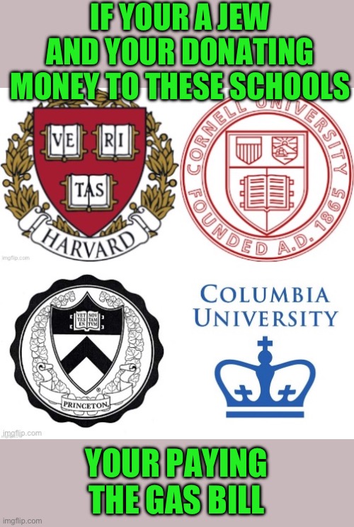 wise up guys they despise you | IF YOUR A JEW AND YOUR DONATING MONEY TO THESE SCHOOLS; YOUR PAYING THE GAS BILL | image tagged in ivy league schools,democrats | made w/ Imgflip meme maker