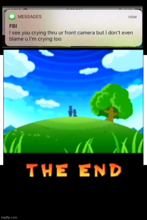 sad :( | image tagged in blank white template,super paper mario,ending,i see you crying thru your front camera,paper mario,spm | made w/ Imgflip meme maker