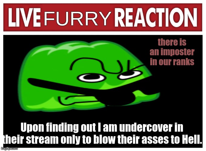 Oh and they have more followers than us | FURRY; there is an imposter in our ranks; Upon finding out I am undercover in their stream only to blow their asses to Hell. | image tagged in live reaction | made w/ Imgflip meme maker