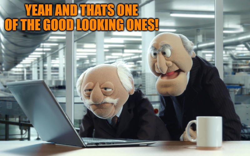 YEAH AND THATS ONE OF THE GOOD LOOKING ONES! | image tagged in muppets | made w/ Imgflip meme maker
