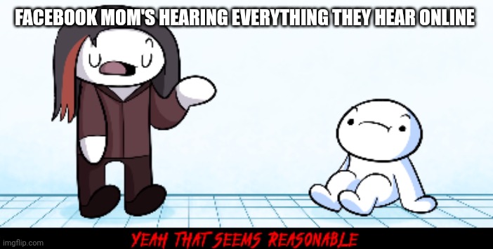 No hate. | FACEBOOK MOM'S HEARING EVERYTHING THEY HEAR ONLINE | image tagged in yeah that seems reasonable theodd1sout | made w/ Imgflip meme maker