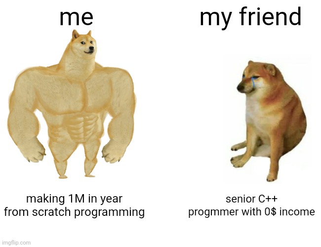 My vs my friend's income | me; my friend; making 1M in year from scratch programming; senior C++ progmmer with 0$ income | image tagged in memes,buff doge vs cheems,programming,development,code | made w/ Imgflip meme maker