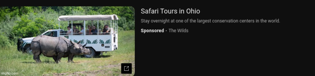YouTube threw this ad at me for no reason, I have never watched any Ohio memes lol | image tagged in cursed image | made w/ Imgflip meme maker