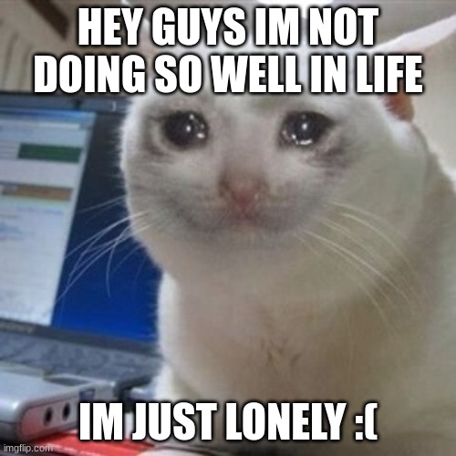 :( | HEY GUYS IM NOT DOING SO WELL IN LIFE; IM JUST LONELY :( | image tagged in crying cat | made w/ Imgflip meme maker