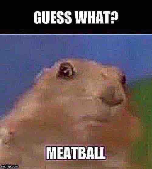 Meatball | made w/ Imgflip meme maker