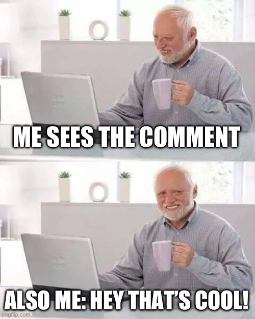 ME SEES THE COMMENT ALSO ME: HEY THAT’S COOL! | image tagged in memes,hide the pain harold | made w/ Imgflip meme maker