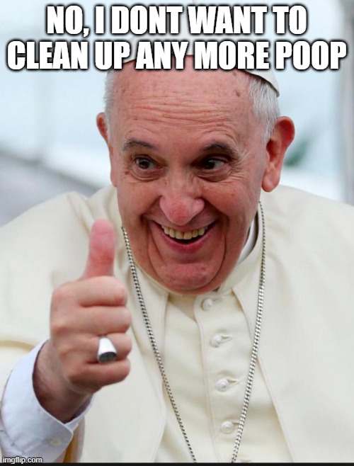 Yes because I love the pope | NO, I DONT WANT TO CLEAN UP ANY MORE POOP | image tagged in yes because i love the pope | made w/ Imgflip meme maker