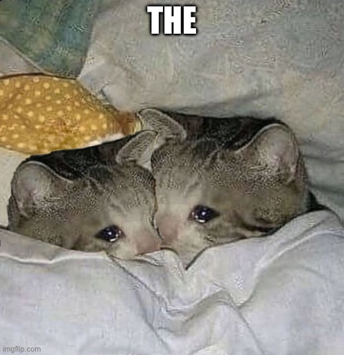 The | THE | image tagged in cats | made w/ Imgflip meme maker