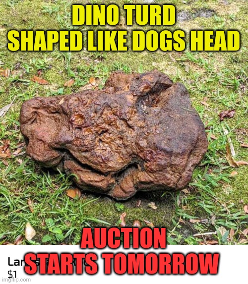 Dino turd auction | DINO TURD SHAPED LIKE DOGS HEAD; AUCTION STARTS TOMORROW | image tagged in dino turd auction | made w/ Imgflip meme maker