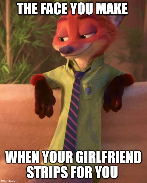 A Foxy Good Time | THE FACE YOU MAKE; WHEN YOUR GIRLFRIEND STRIPS FOR YOU | image tagged in nick wilde looking down,zootopia,nick wilde,the face you make when,funny,memes | made w/ Imgflip meme maker