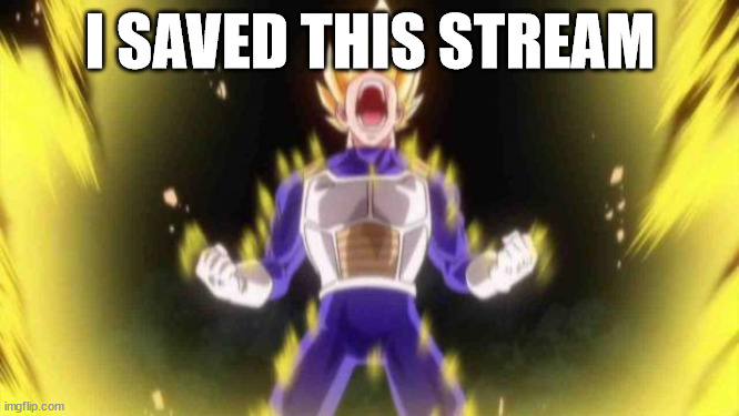 WHATCHA GONNA DO? CRUSADERS? | I SAVED THIS STREAM | image tagged in vegeta | made w/ Imgflip meme maker