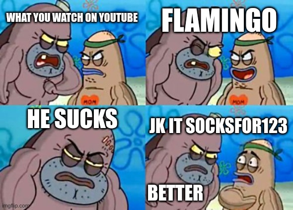 How Tough Are You | FLAMINGO; WHAT YOU WATCH ON YOUTUBE; HE SUCKS; JK IT SOCKSFOR123; BETTER | image tagged in memes,how tough are you | made w/ Imgflip meme maker