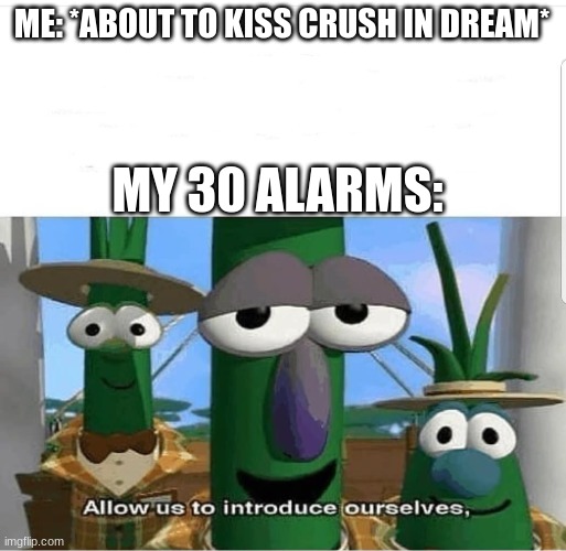 HHEHEHEHEH | ME: *ABOUT TO KISS CRUSH IN DREAM*; MY 30 ALARMS: | image tagged in allow us to introduce ourselves,funny,memes | made w/ Imgflip meme maker