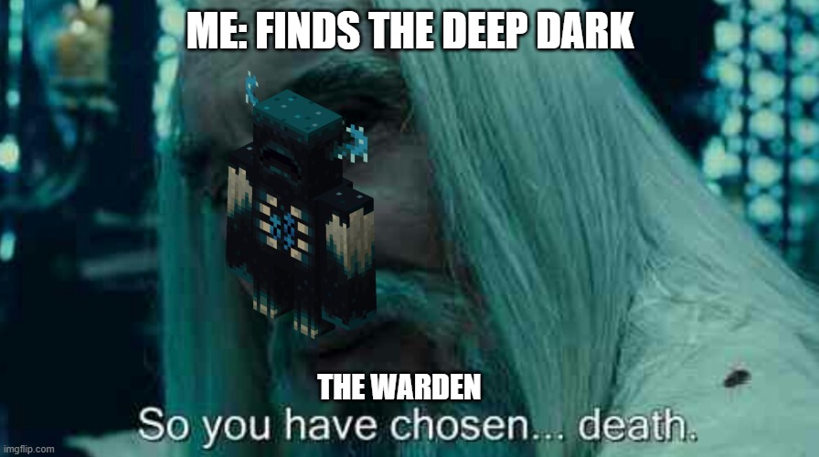 deep dark | ME: FINDS THE DEEP DARK; THE WARDEN | image tagged in so you have chosen death,minecraft warden | made w/ Imgflip meme maker