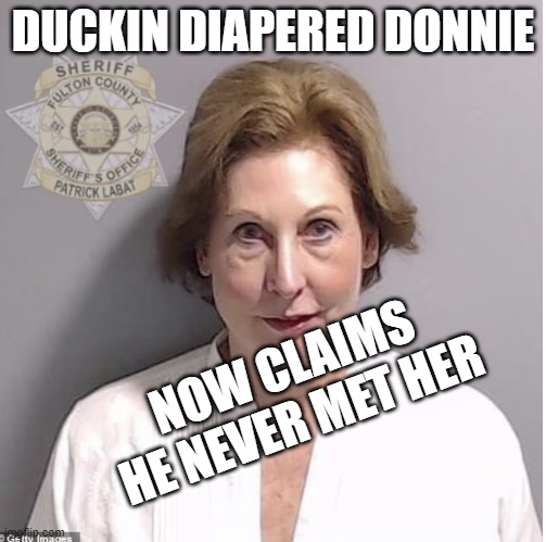 dementia, convicted rapist, con man, grifter, | DUCKIN DIAPERED DONNIE; NOW CLAIMS HE NEVER MET HER | image tagged in sidney powell | made w/ Imgflip meme maker