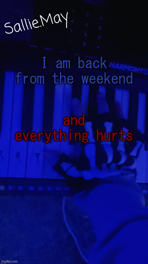 Sallie's temp by hannibal | I am back from the weekend; and everything hurts | image tagged in sallie's temp by hannibal | made w/ Imgflip meme maker