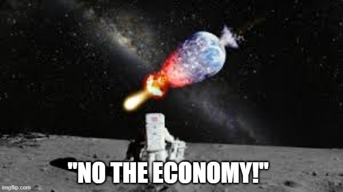 astronaut watch earth explode | "NO THE ECONOMY!" | image tagged in astronaut watch earth explode | made w/ Imgflip meme maker