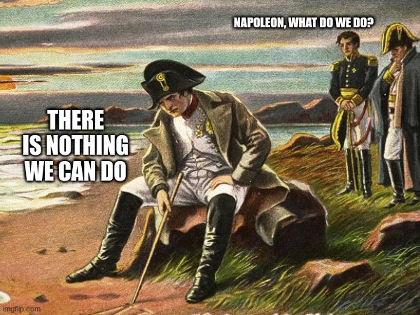 never | NAPOLEON, WHAT DO WE DO? THERE IS NOTHING WE CAN DO | made w/ Imgflip meme maker