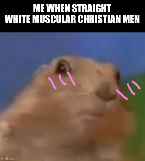Ooooo | ME WHEN STRAIGHT WHITE MUSCULAR CHRISTIAN MEN | image tagged in brown thing staring,social experiment,random | made w/ Imgflip meme maker