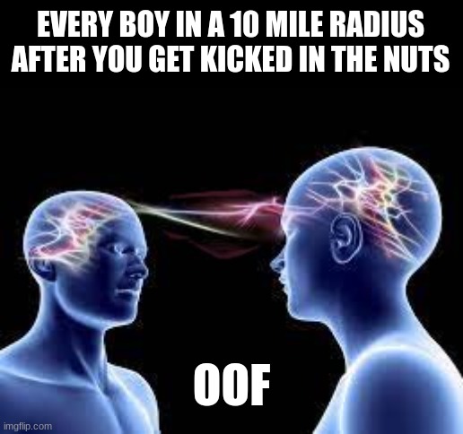 oof | EVERY BOY IN A 10 MILE RADIUS AFTER YOU GET KICKED IN THE NUTS; OOF | image tagged in oof | made w/ Imgflip meme maker
