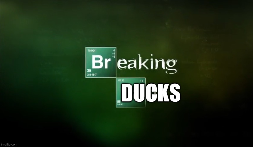 Breaking Bad title logo | DUCKS | image tagged in breaking bad title logo | made w/ Imgflip meme maker