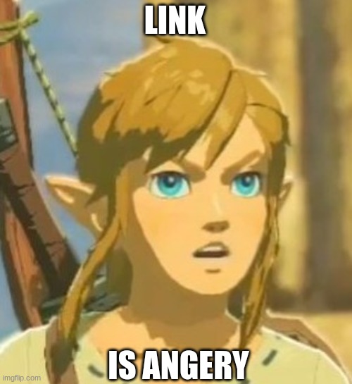 when someone calls link zelda | LINK; IS ANGERY | image tagged in offended link,troll link | made w/ Imgflip meme maker