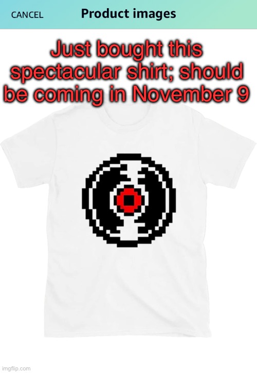 rn it's being shipped | Just bought this spectacular shirt; should
be coming in November 9 | made w/ Imgflip meme maker