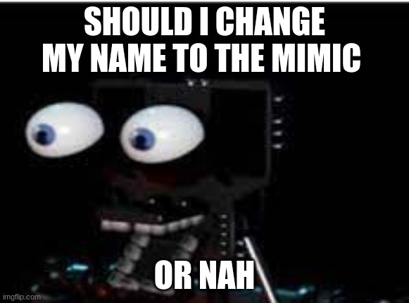 PERSONALITY?!?!?!?!?! | SHOULD I CHANGE MY NAME TO THE MIMIC; OR NAH | image tagged in personality | made w/ Imgflip meme maker