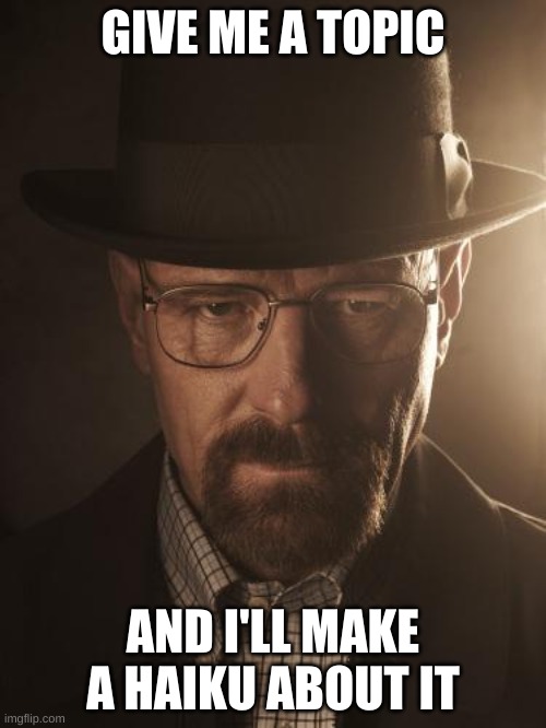 Walter White | GIVE ME A TOPIC; AND I'LL MAKE A HAIKU ABOUT IT | image tagged in walter white | made w/ Imgflip meme maker