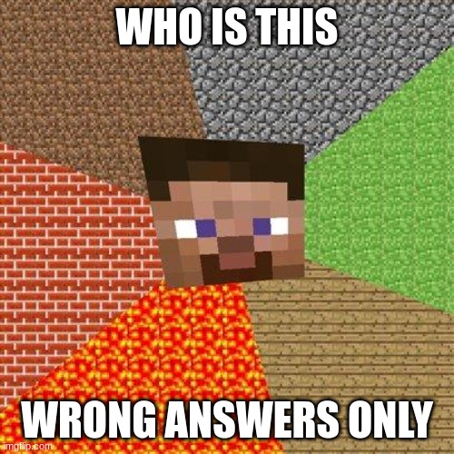 Minecraft Steve | WHO IS THIS; WRONG ANSWERS ONLY | image tagged in minecraft steve | made w/ Imgflip meme maker