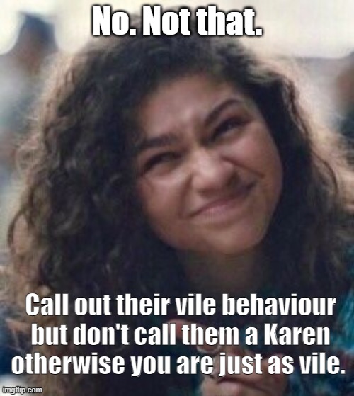 Zendaya loves Karen | No. Not that. Call out their vile behaviour but don't call them a Karen otherwise you are just as vile. | image tagged in pointing zendaya meme | made w/ Imgflip meme maker