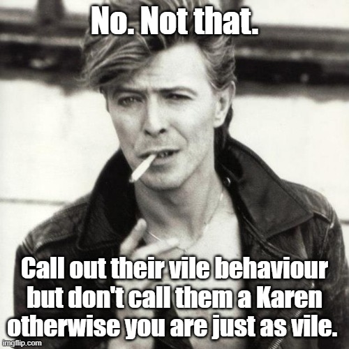 Bowie loves Karen | No. Not that. Call out their vile behaviour but don't call them a Karen otherwise you are just as vile. | image tagged in david bowie | made w/ Imgflip meme maker