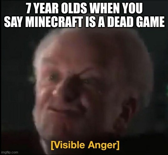 Kids be like: | 7 YEAR OLDS WHEN YOU SAY MINECRAFT IS A DEAD GAME | image tagged in visible anger | made w/ Imgflip meme maker