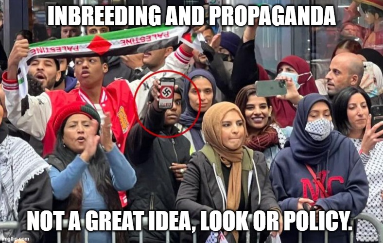 At least flip the banner over | INBREEDING AND PROPAGANDA; NOT A GREAT IDEA, LOOK OR POLICY. | image tagged in pro hamas protest nyc with swastika,pro terror muslims,stand with israel,arab propaganda drones,american jihad,no shame | made w/ Imgflip meme maker