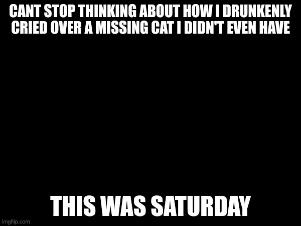 everything in moderation kids | CANT STOP THINKING ABOUT HOW I DRUNKENLY CRIED OVER A MISSING CAT I DIDN'T EVEN HAVE; THIS WAS SATURDAY | made w/ Imgflip meme maker