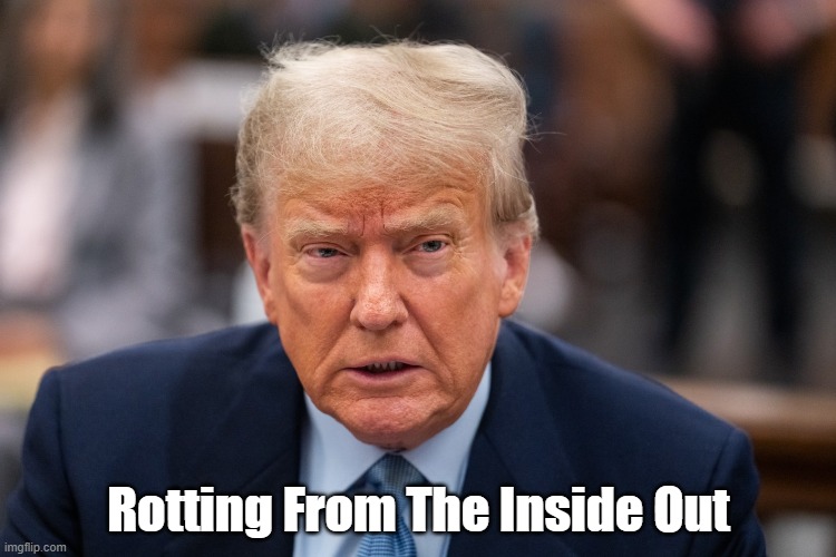 Rotting From The Inside Out | Rotting From The Inside Out | image tagged in rotting,trump,putresence,putridness | made w/ Imgflip meme maker