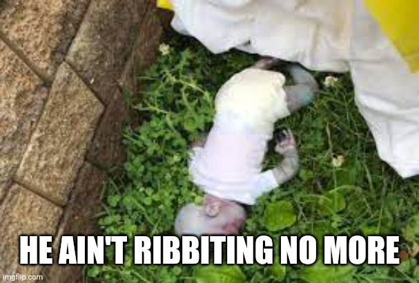 dead baby | HE AIN'T RIBBITING NO MORE | image tagged in dead baby | made w/ Imgflip meme maker