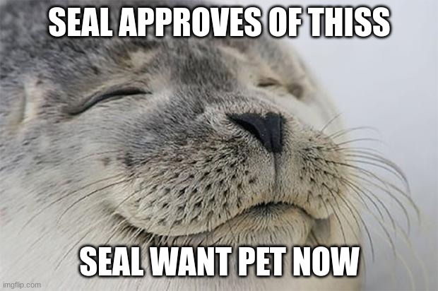 Satisfied Seal Meme | SEAL APPROVES OF THISS SEAL WANT PET NOW | image tagged in memes,satisfied seal | made w/ Imgflip meme maker