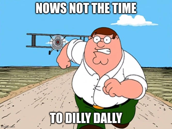 Peter Griffin running away | NOWS NOT THE TIME TO DILLY DALLY | image tagged in peter griffin running away | made w/ Imgflip meme maker