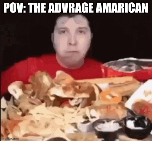 im an amarican and im skinny as hell should i be concerned | POV: THE ADVRAGE AMARICAN | image tagged in _ | made w/ Imgflip meme maker