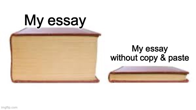 Fun!!! | My essay; My essay without copy & paste | image tagged in big book small book | made w/ Imgflip meme maker