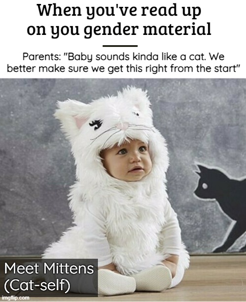 It's not a game, kid | When you've read up on you gender material; Parents: "Baby sounds kinda like a cat. We better make sure we get this right from the start"; Meet Mittens (Cat-self) | image tagged in gender identity,funny,gender theory,identity politics | made w/ Imgflip meme maker