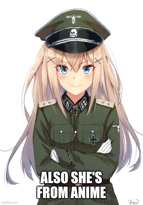 ALSO SHE'S FROM ANIME | image tagged in anime reich officer | made w/ Imgflip meme maker