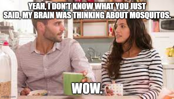 active listening, bad listening, listening | YEAH, I DON'T KNOW WHAT YOU JUST SAID, MY BRAIN WAS THINKING ABOUT MOSQUITOS. WOW. | image tagged in difficult converstion | made w/ Imgflip meme maker