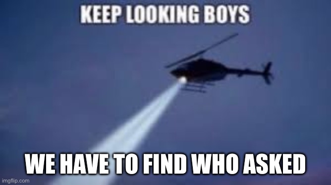 Keep looking boys | WE HAVE TO FIND WHO ASKED | image tagged in keep looking boys | made w/ Imgflip meme maker