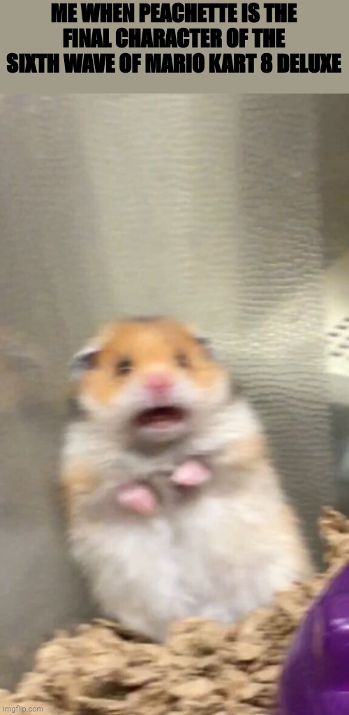 Screaming Hamster | ME WHEN PEACHETTE IS THE FINAL CHARACTER OF THE SIXTH WAVE OF MARIO KART 8 DELUXE | image tagged in screaming hamster,mario kart,nintendo | made w/ Imgflip meme maker