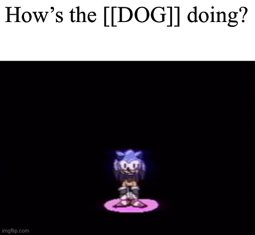 needlemouse stare | How’s the [[DOG]] doing? | image tagged in needlemouse stare | made w/ Imgflip meme maker