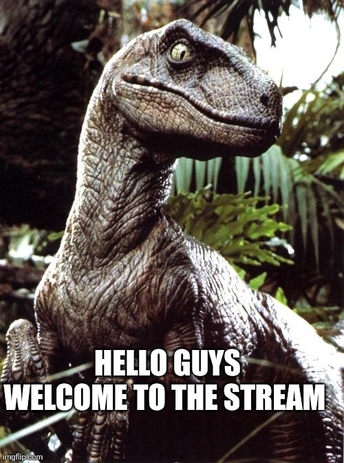 Velociraptor | HELLO GUYS WELCOME TO THE STREAM | image tagged in velociraptor | made w/ Imgflip meme maker