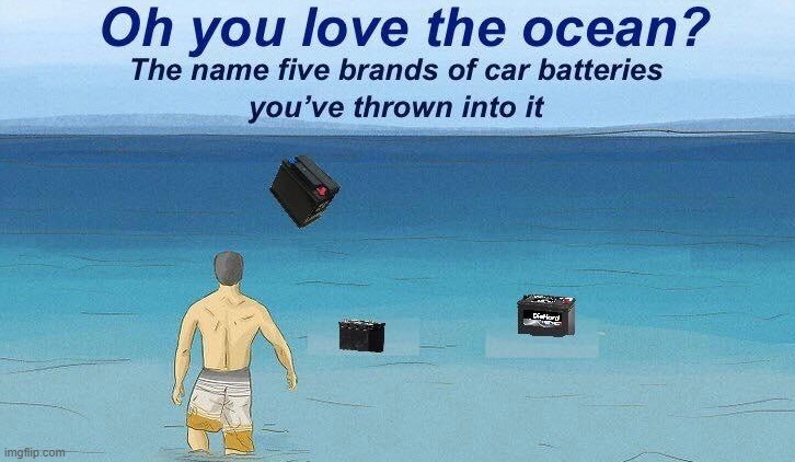 High Quality Love the ocean Blank Meme Template